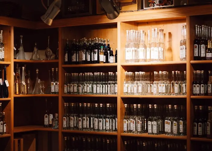 Otel Zum Schnapsbrenner - Garni